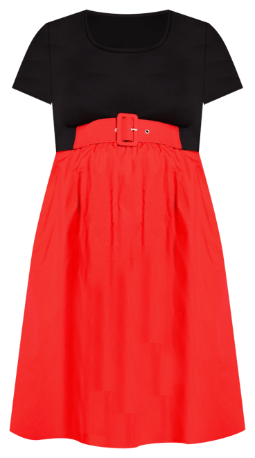 Plus Size Paris Days Dress