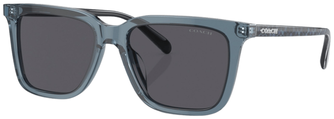 【送料,関税込】 COACH サングラス CL910 HC8385U HC8385U CL910 Sunglasses - Coach Authorized Retailer