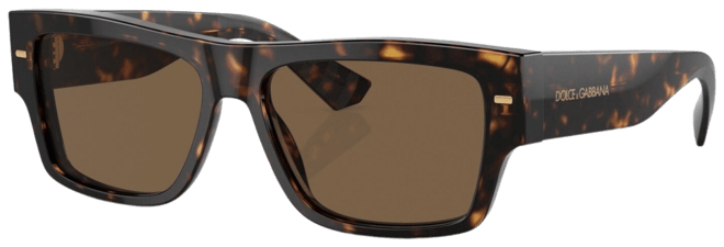 Men's Sunglasses DG4451