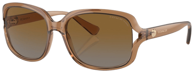 Women's L149 Polarized Sunglasses, Gradient HC8169