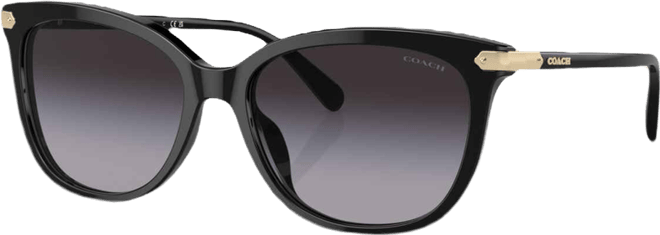 Women's CL926 Sunglasses, Gradient HC8378U