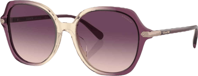 Women's CL925 Sunglasses, Gradient HC8377U