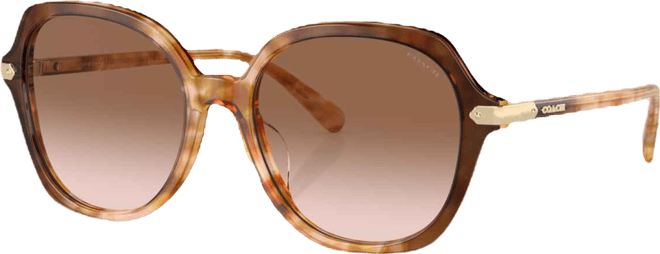 Women's CL925 Sunglasses, Gradient HC8377U