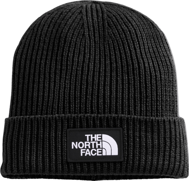 north face polar beanie
