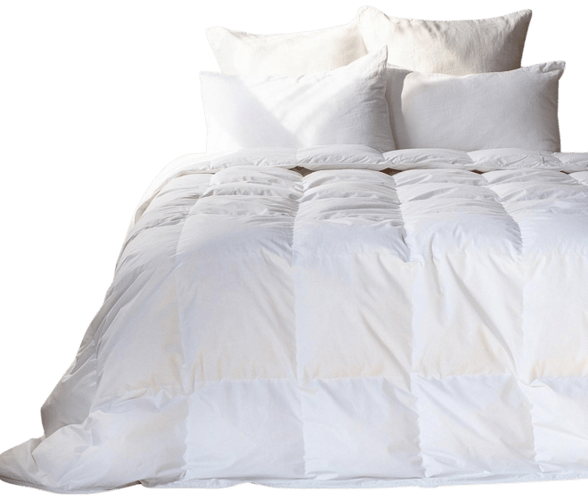 All Season Feather & Down Duvet Comforter Insert