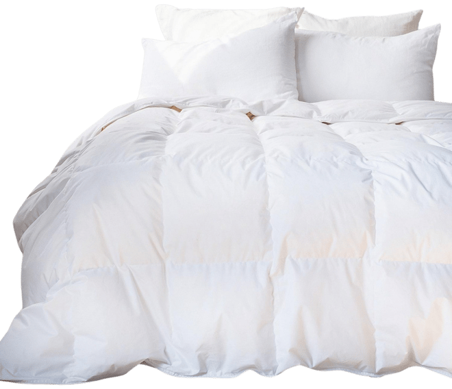 Extra Warm Feather & Down Duvet Comforter Insert
