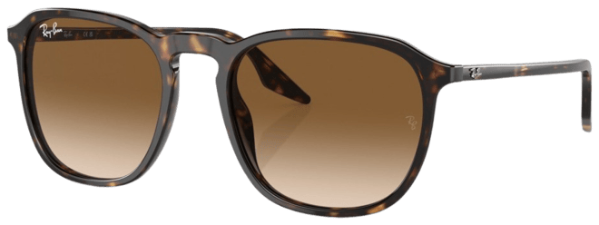 Unisex Sunglasses, Gradient RB2203