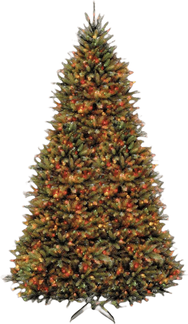 National Tree 10' Dunhill Fir Hinged Tree with 1200 Low Voltage Dual Led Lights with 9 Function Footswitch