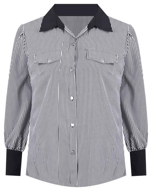 Petite Long Sleeve Striped Button Front Blouse