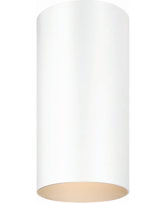 1-Light Flush Mount Cylinder Ceiling Fixture