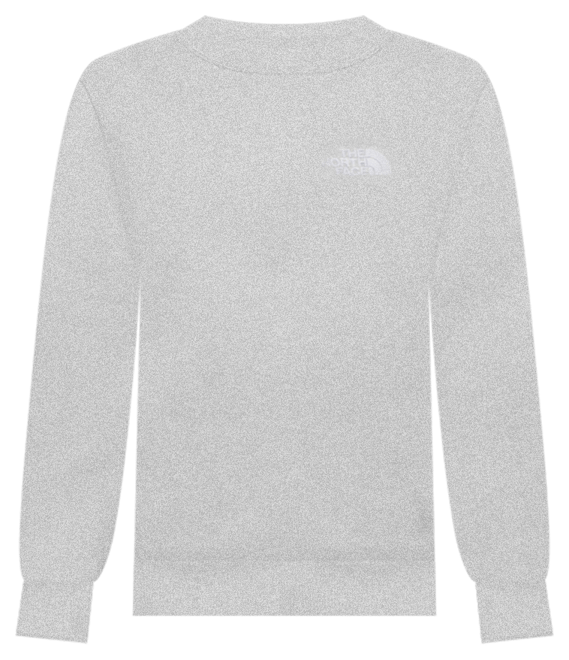 The North Face Gucci Crewneck