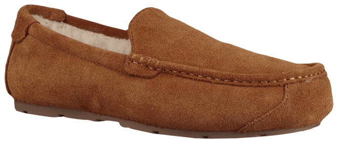 Mens ugg koolaburra slippers hot sale