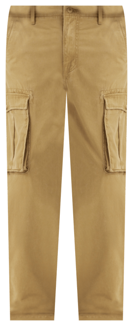 Levi ace cheap cargo pants