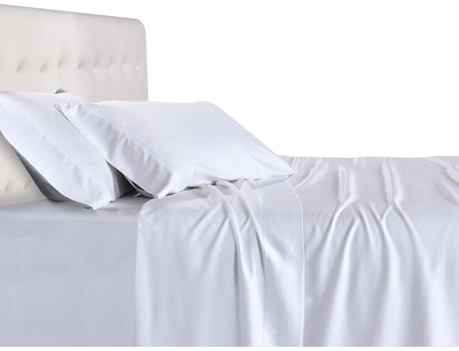 100% Viscose from Bamboo Sheet Set, Queen