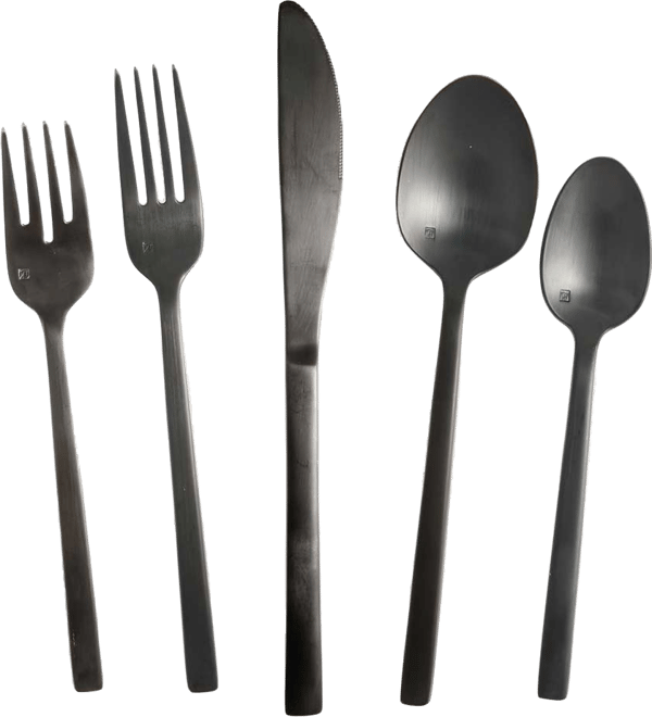 20-Piece Abe Brushed Black Flatware Set + Reviews