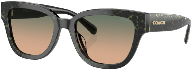 Women's CL920 Sunglasses, Gradient HC8379U