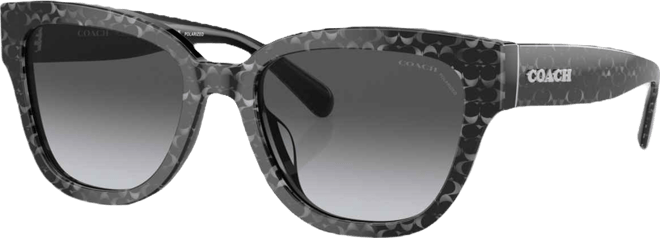 Women's CL920 Polarized Sunglasses, Gradient Polar HC8379U