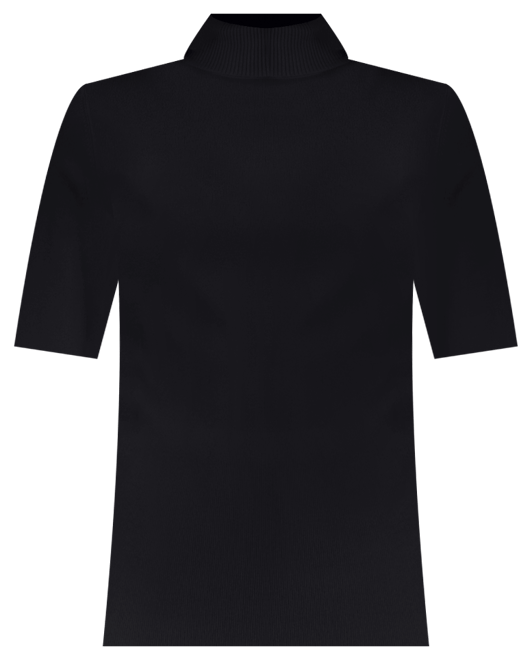 Petite Elbow-Sleeve Turtleneck Sweater