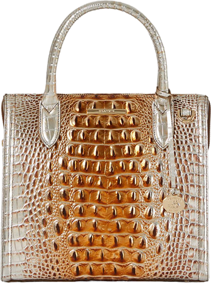 Clear brahmin purse hot sale