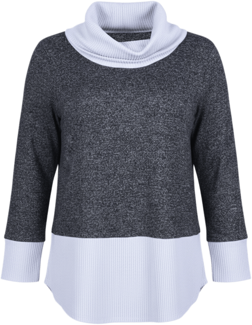 Petite Long Sleeve Cowl Neck Colorblocked Top