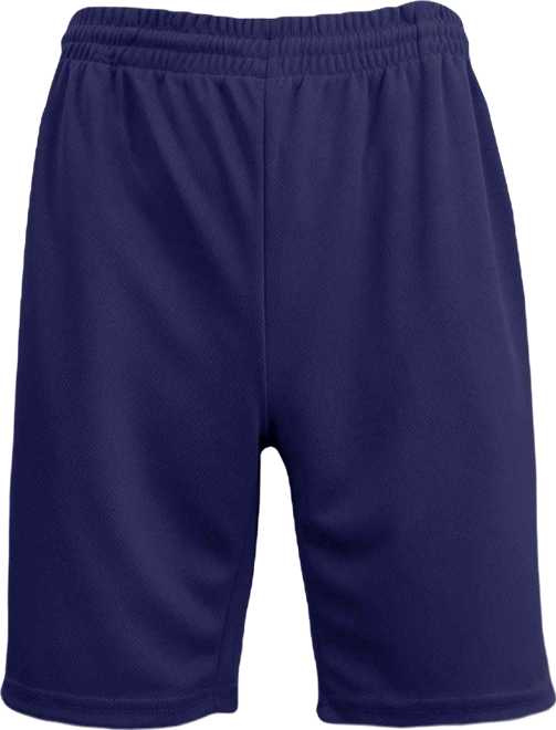Men's Oversized Moisture Wicking Performance Basic Mesh Shorts