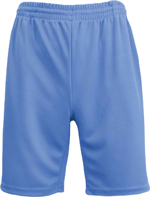 Men's Oversized Moisture Wicking Performance Basic Mesh Shorts