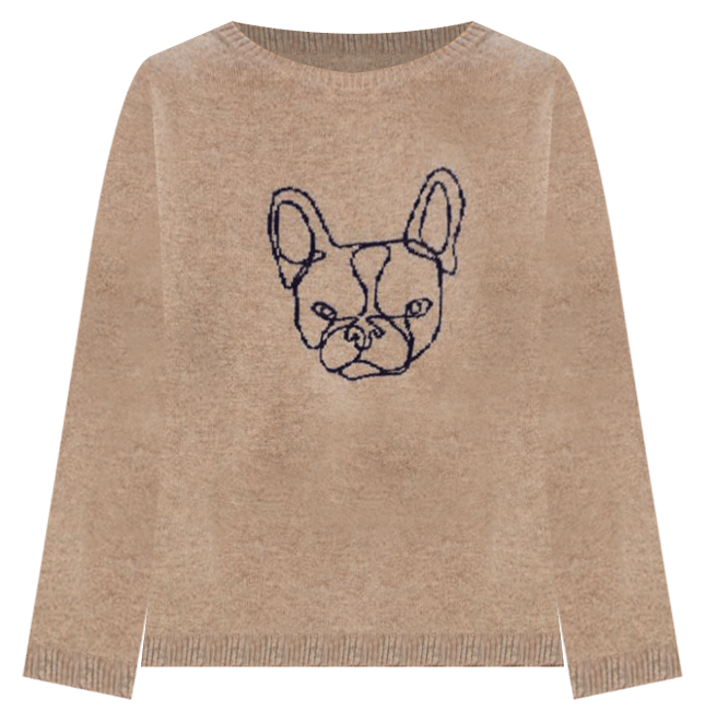 Frenchie sweater sale h&m