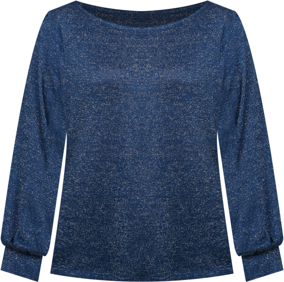 Petite Long Sleeve Tunic Top