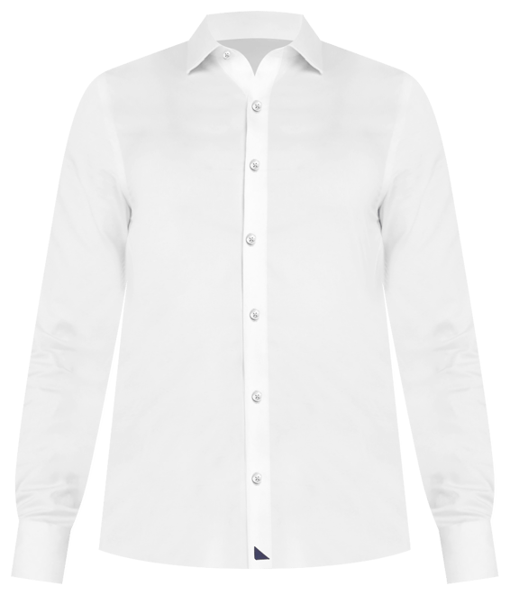 Men's Regular Fit Wrinkle-Free Las Cases Button Up Shirt