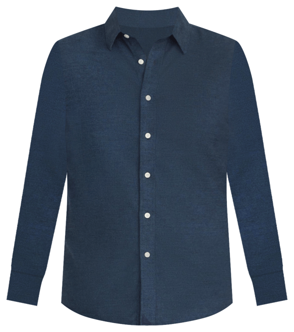 Men's Slim Fit Wrinkle-Free Veneto Button Up Shirt