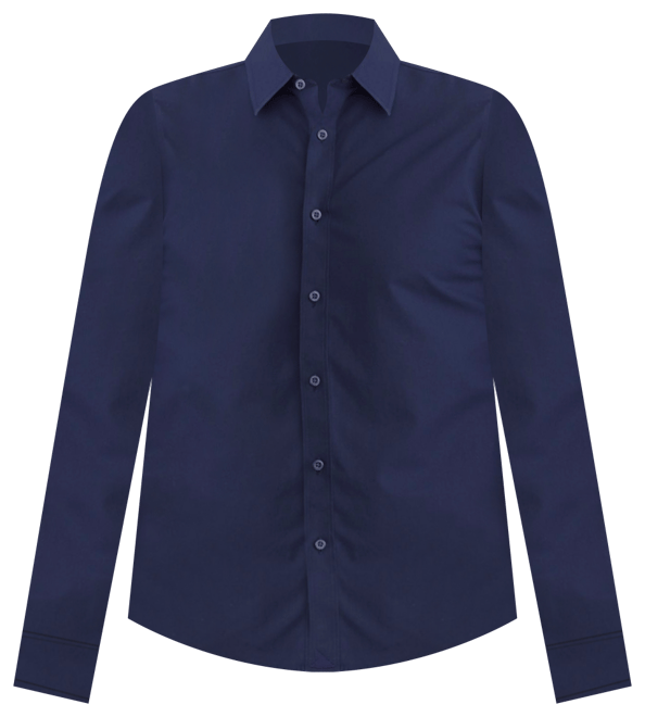Men's Regular Fit Wrinkle-Free Castello Button Up Shirt