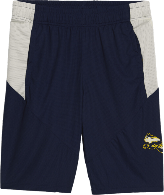 PUMA Cat Training Shorts