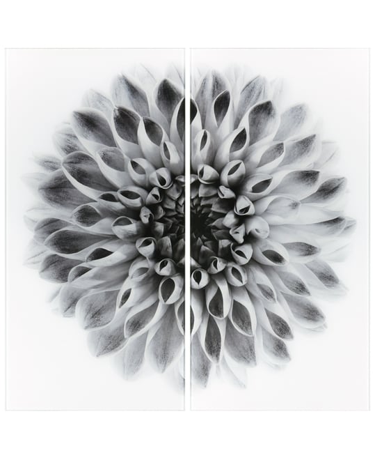 "Dahlia Ab" Frameless Free Floating Tempered Glass Panel Graphic Wall Art Set of 2, 72" x 36" x 0.2" Each