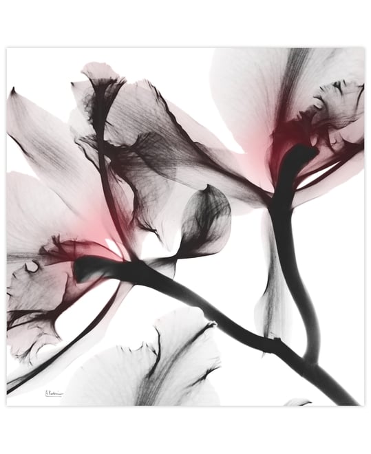 "Coral Luster 2" Frameless Free Floating Tempered Glass Panel Graphic Wall Art, 24" x 24" x 0.2"