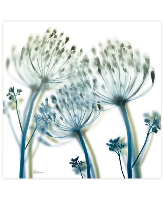 "Unfocused Beauty 2" Frameless Free Floating Tempered Glass Panel Graphic Wall Art, 24" x 24" x 0.2"