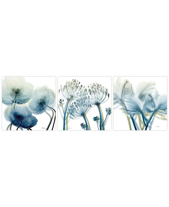 Unfocused Beauty 1 2 3 Frameless Free Floating Tempered Glass Panel Graphic Wall Art, 24" x 24" x 0.2" Each