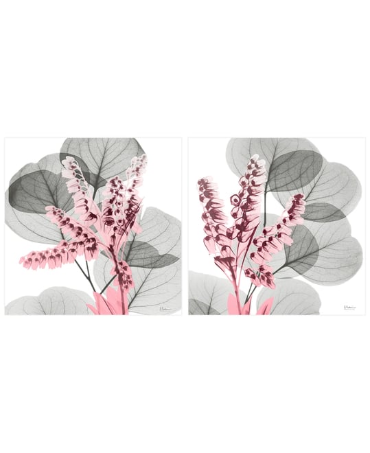 Eucalyptus Bush 1 2 Frameless Free Floating Tempered Glass Panel Graphic Wall Art, 24" x 24" x 0.2" Each, Set of 2