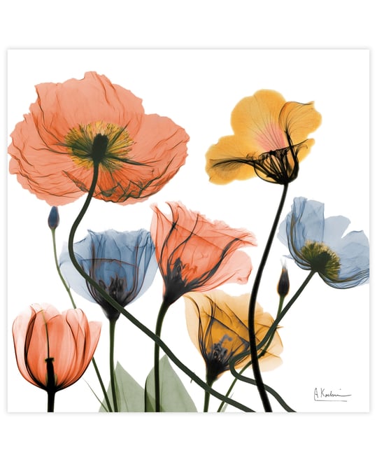 "Flowers and Ferns" Frameless Free Floating Tempered Glass Panel Graphic Wall Art, 24" x 24" x 0.2"