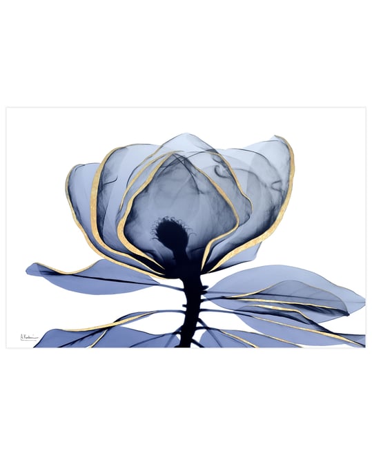 "Golden-Tone Midnight 1" Frameless Free Floating Tempered Glass Panel Graphic Wall Art, 32" x 48" x 0.2"