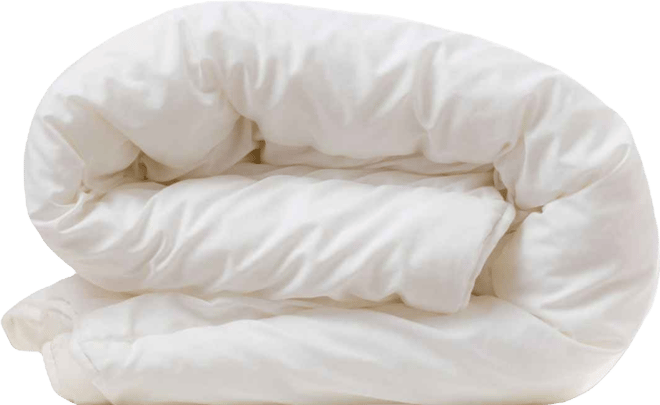 Down Alternative 300 Thread Count Cotton Shell All Season Comforter, Queen