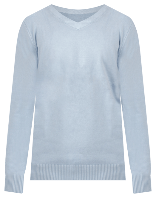 Boy's Basic V-Neck Sweater