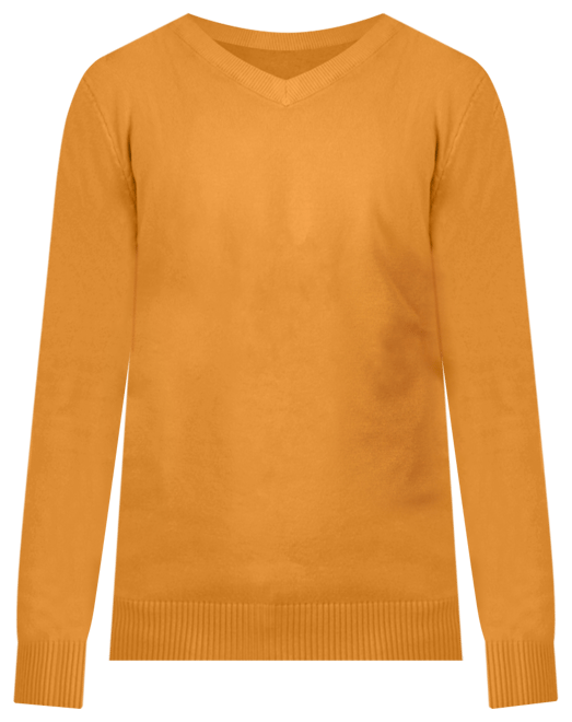 Boy's Basic V-Neck Sweater