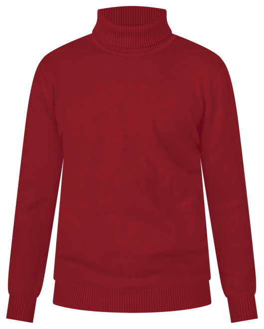 Boy's Basic Turtleneck Sweater