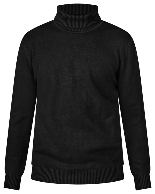 Boy's Basic Turtleneck Sweater