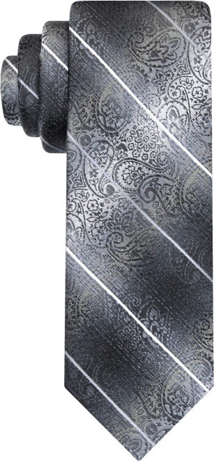 Men's Stripe Paisley Tie