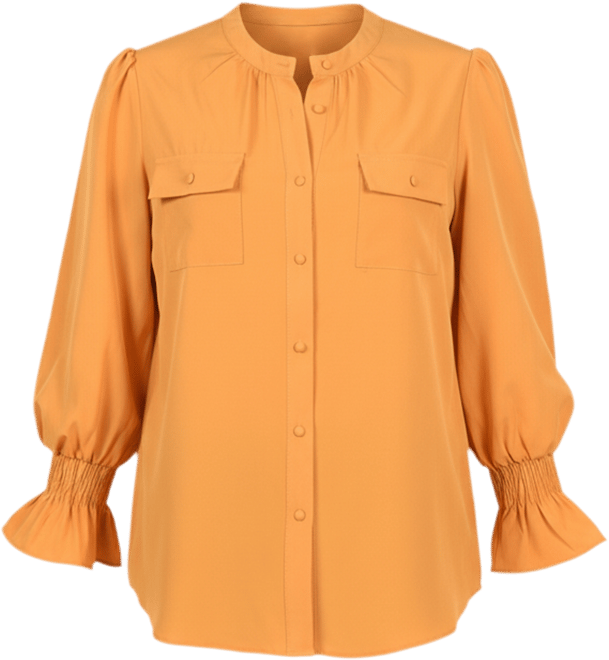 Petite Long Sleeve Y-neck Blouse