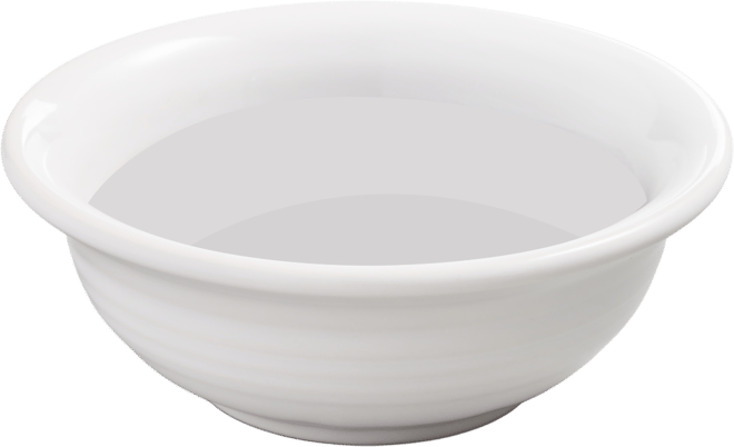 Fruit/Salsa Bowl 9 oz.