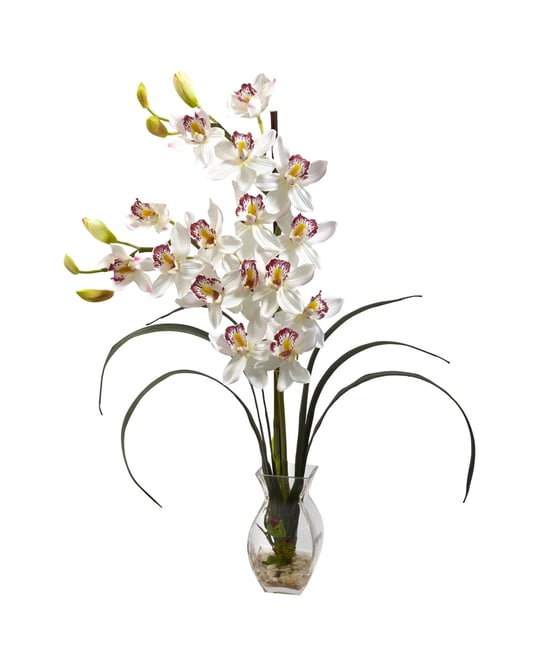 Cymbidium Orchid w/ Vase Arrangement