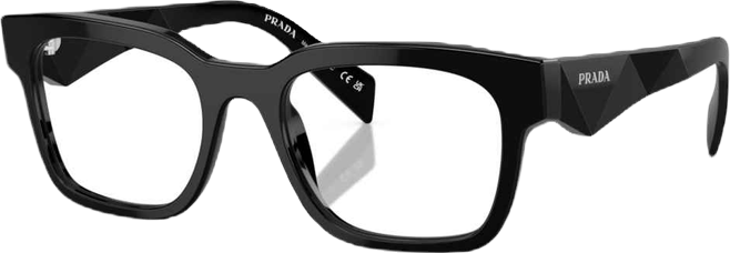 Men's Eyeglasses, Pr A10V