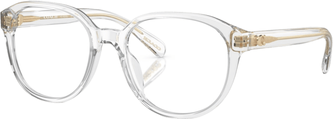 Women's Round Eyeglasses, HC6209U 52